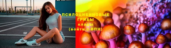 крисы Аркадак