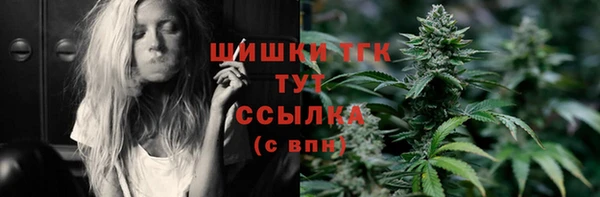 тгк Арсеньев