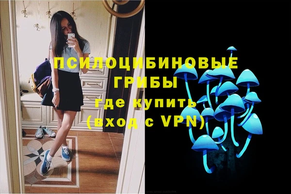 mdpv Армянск