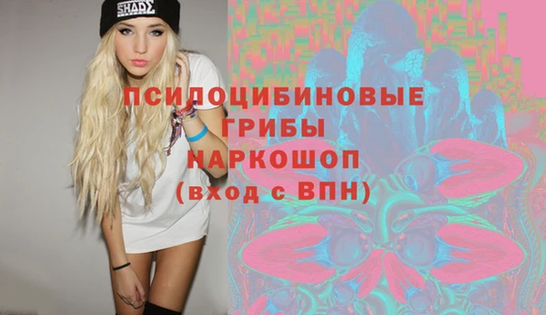 тгк Арсеньев