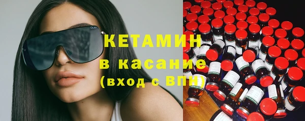 крисы Аркадак